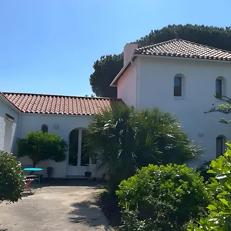 Couette-café D'hôtes Sous Le Pin Les Sables-dʼOlonne